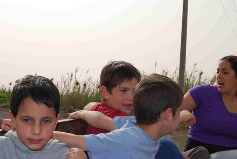 טיול פריחה חמנית