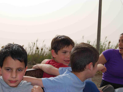 טיול פריחה חמנית