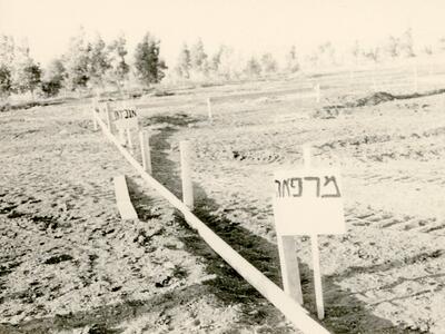טרום בניה 1972-3