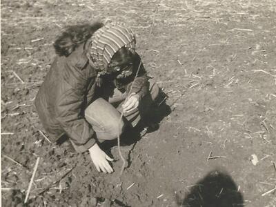 נטיעת השקדים 1973